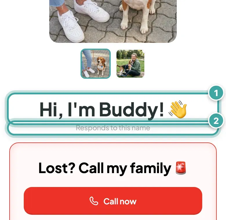 The top of Buddy's page after a scan: his photo with thumbnails of the others, the greeting "Hi, I'm Buddy!" (1) and, under it, Responds to this name (2).