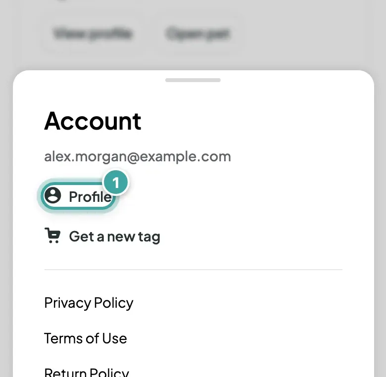 The account menu open at the bottom of the screen, showing the account email, Profile, Get a new tag and links to the policies. Profile is highlighted.